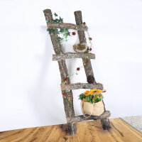 Dekoleiter Holz Sprossenleiter 100cm Rankgitter mit Moos