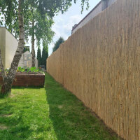 Schilfmatte Sichtschutzmatte Schilfrohrmatte 600x60cm