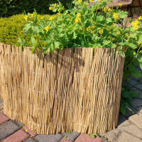 Schilfmatte Sichtschutzmatte Schilfrohrmatte 600x60cm