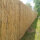 Schilfmatte Sichtschutzmatte Schilfrohrmatte 600x110cm