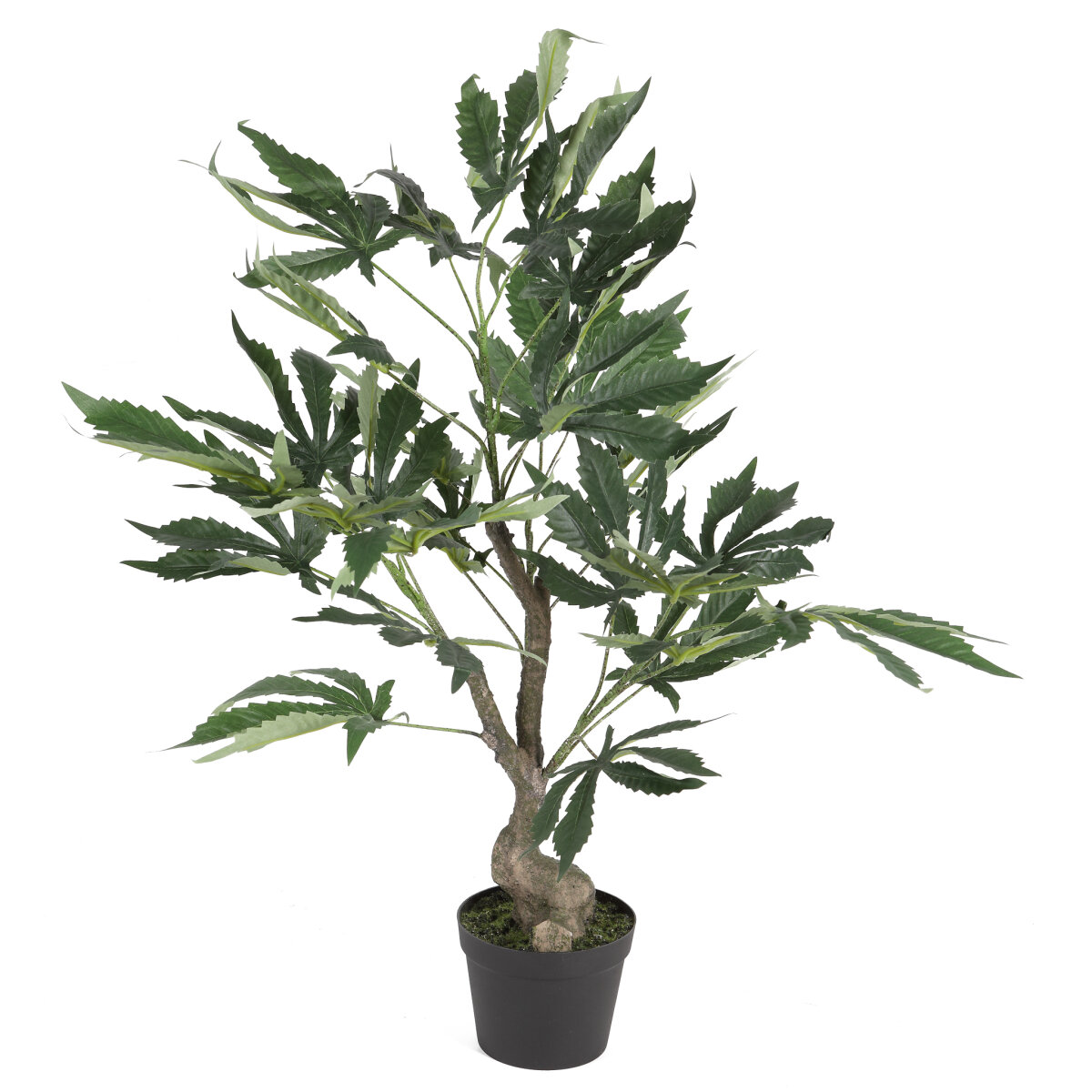 ikea tassen grau DINERA Tasse, 30 cl, dunkelgrau Küche, Haushalt & Wohnen Farbe:RAL 9003 - Signal White