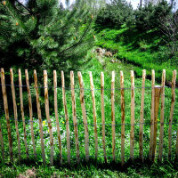 Staketenzaun Haselnusszaun 5m 50-120cm Höhe, Naturzaun Holzzaun Teichumrandung