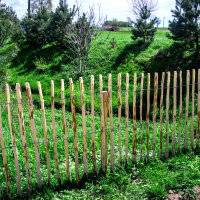 Staketenzaun Haselnusszaun 5m 50-120cm Höhe, Naturzaun Holzzaun Teichumrandung