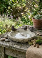 Vogeltränke mit 3 Vögeln Steinoptik Hellbeige aus Magnesia – Wetterfestes Vogelbad für Wildvögel, Gartendeko für Außenbereich 38x35x16 cm