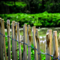 Staketenzaun Haselnusszaun Gartenzaun 5m Holz 80cm Höhe Teichumrandung 7-9cm