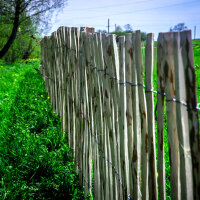 Staketenzaun Haselnusszaun Gartenzaun 5m Holz 80cm Höhe Teichumrandung 7-9cm