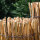 Staketenzaun Haselnusszaun Gartenzaun 5m Holz 80cm Höhe Teichumrandung 7-9cm
