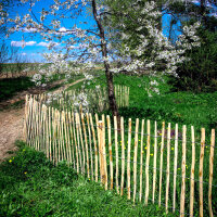 Staketenzaun Haselnusszaun Gartenzaun 5m Holz 100cm Höhe Teichumrandung 4-6cm