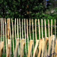 Staketenzaun Haselnusszaun Gartenzaun 5m Holz 120cm Höhe Teichumrandung 4-6cm