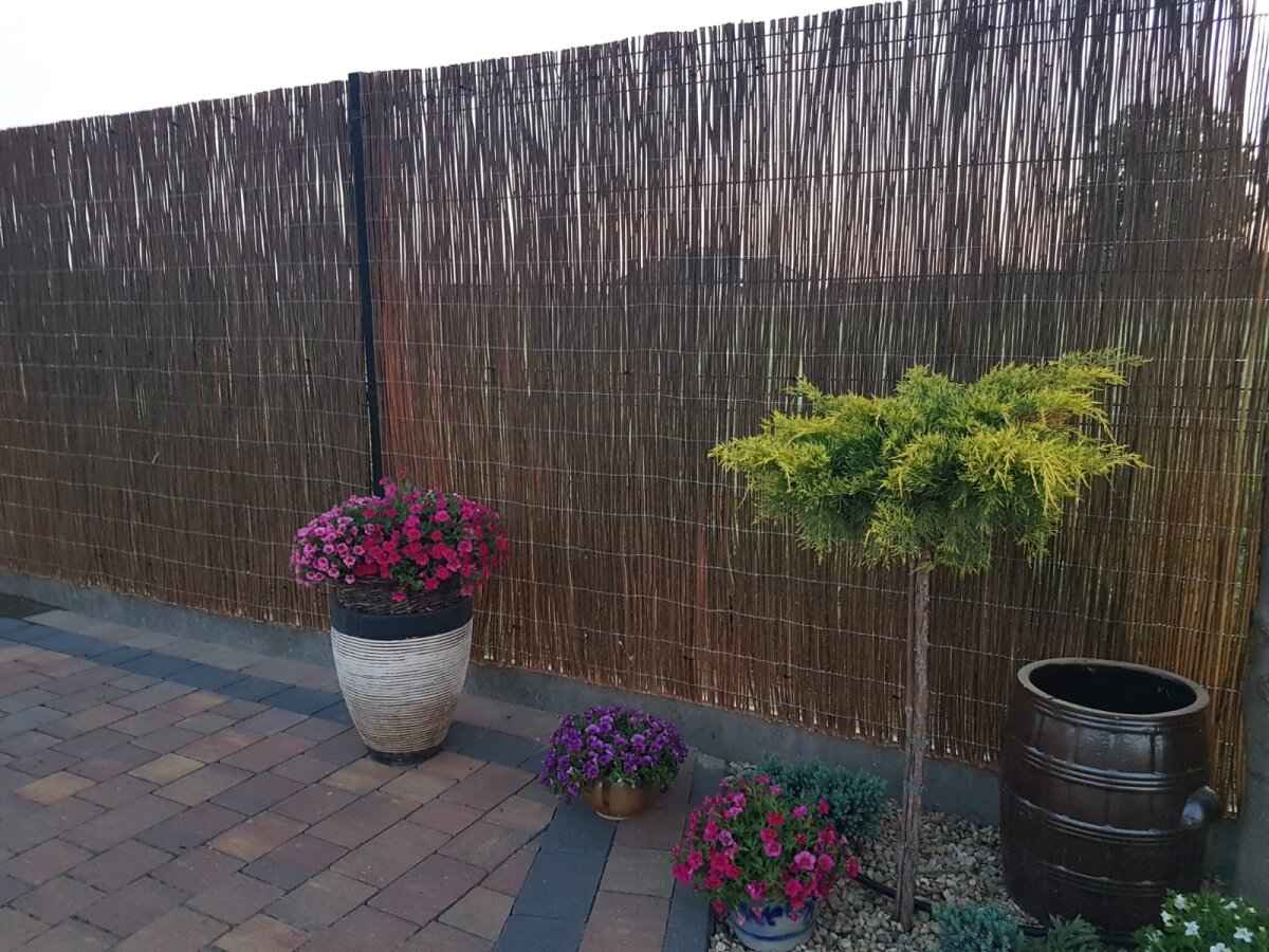 Weidenmatte Sichtschutz Zaun 160 Cm Hoch & 5 M Lang – Natürlicher Wind- & Sichtschutz Für Garten & Balkon – Witterungsbeständig & Einfach Zu Montieren